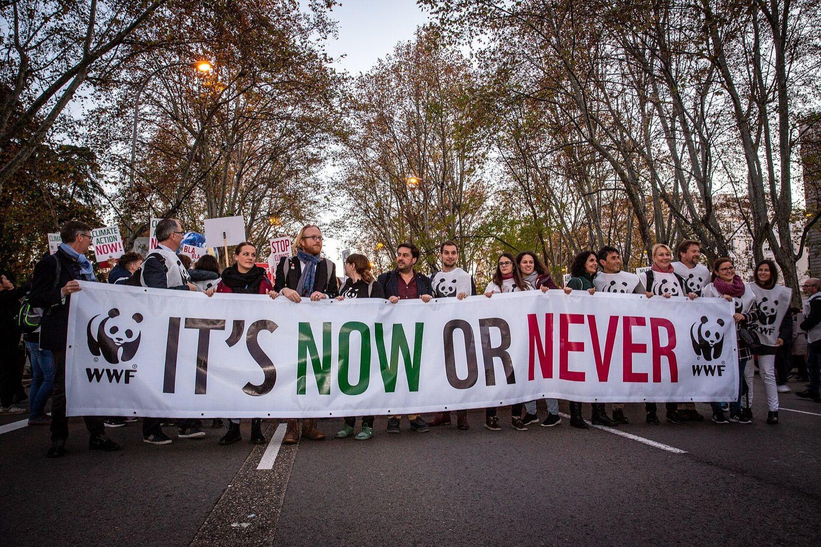 Climate march during COP25 in Madrid, 2019