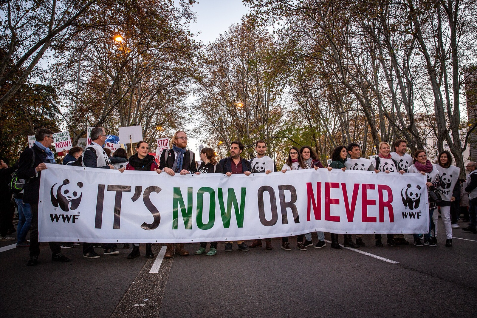 Climate march during COP25 in Madrid, 2019